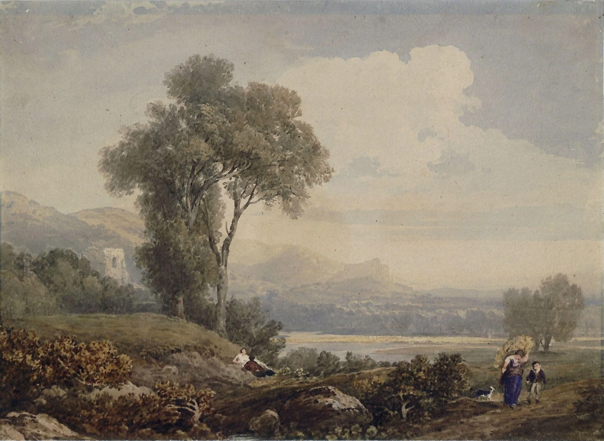 Landscape