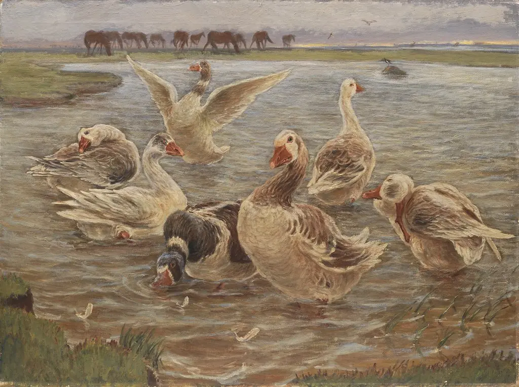 Geese on the Island of Saltholm