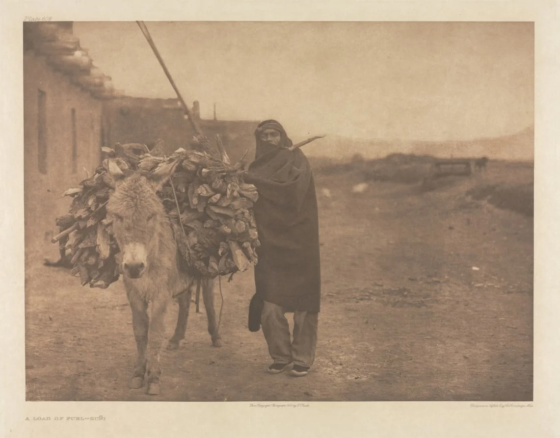 Portfolio XVII, Plate 608: A Load of Fuel - Zuñi