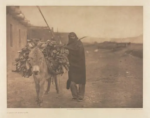 Portfolio XVII, Plate 608: A Load of Fuel - Zuñi