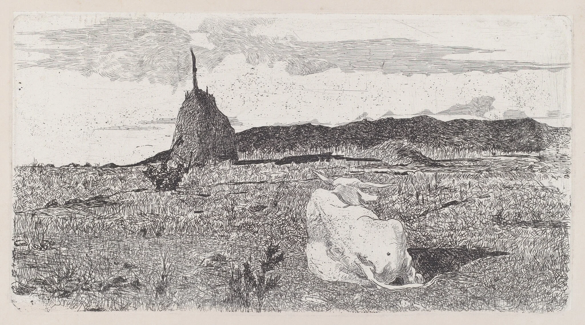 Holy Cow (Pio bove), by Giovanni Fattori, ink, 1889