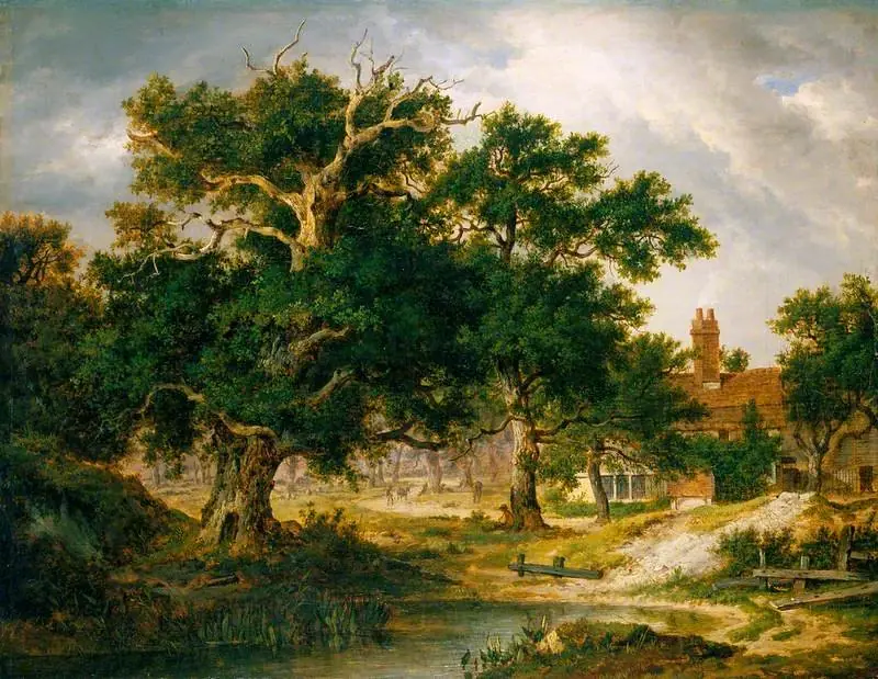 Sir Philip Sidney's Oak