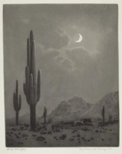 New Moon and Evening Star