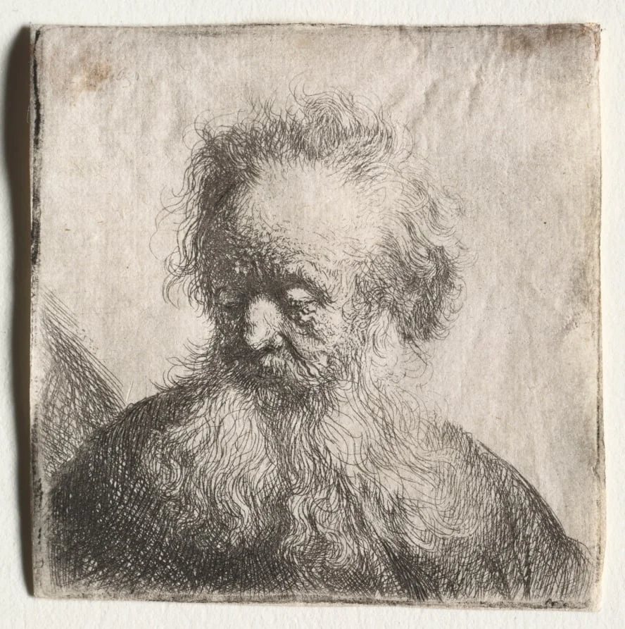 Old Man with a Flowing Beard: Bust, by Rembrandt, 1631
