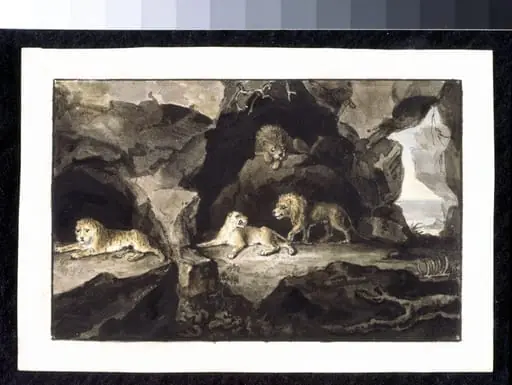 Lions and Lionesses