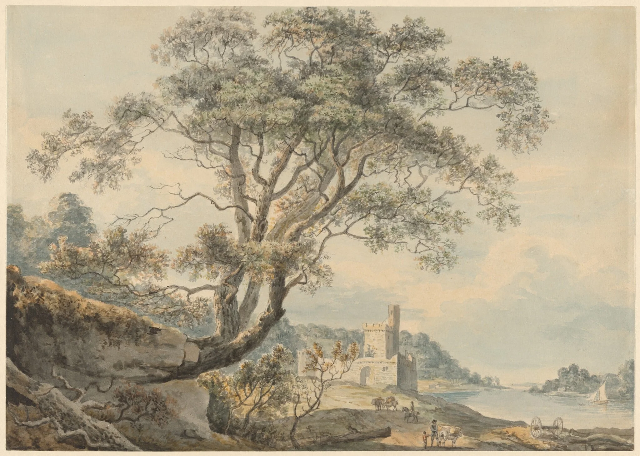 A Castle on the Dart