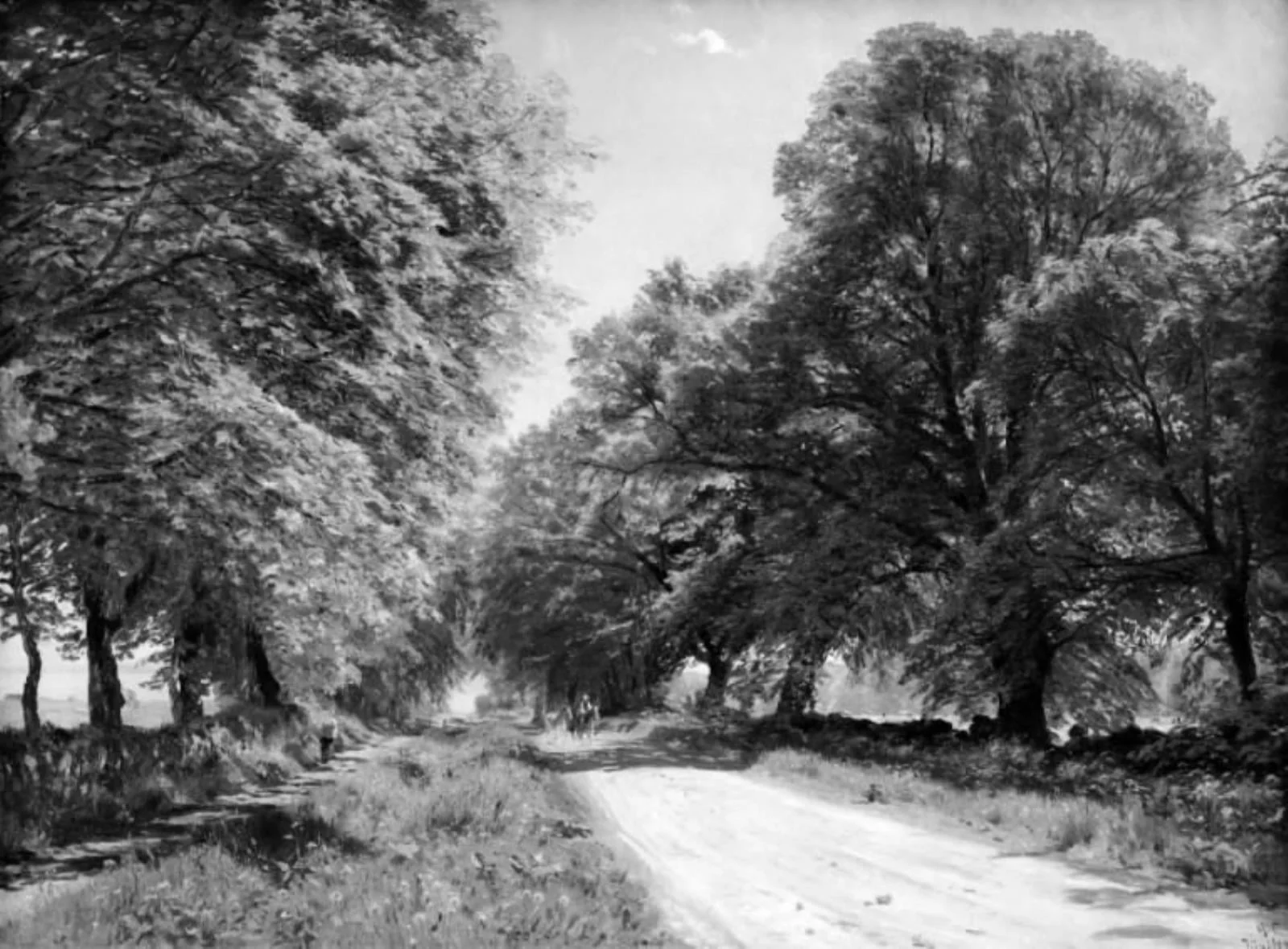 Krogerup Allé. Eftermiddag, by Unknown, 1896
