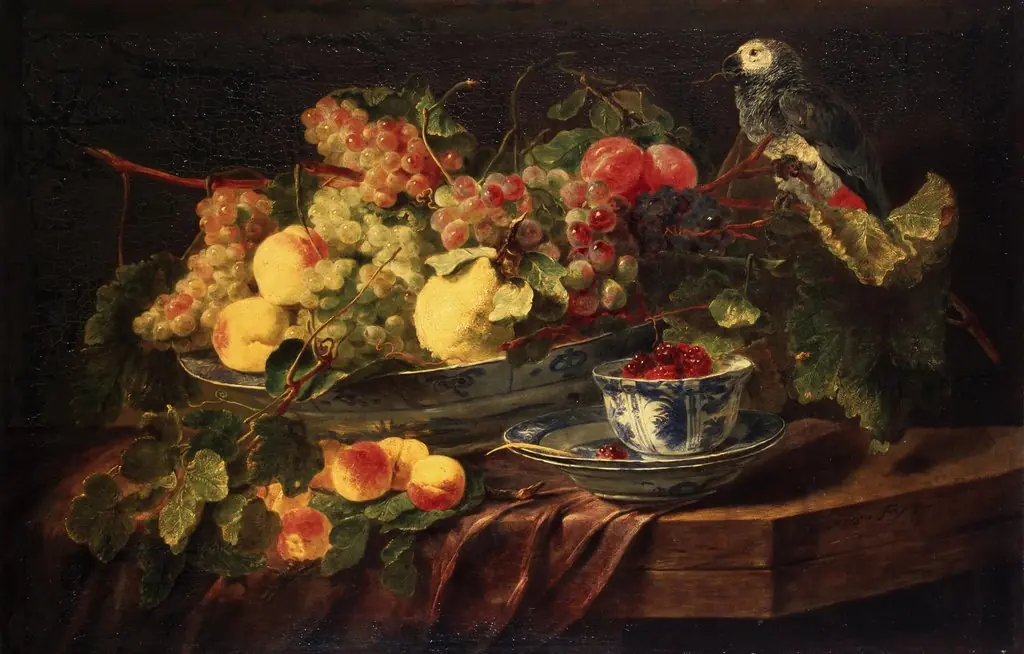 Still Life with Fruit and Parrot