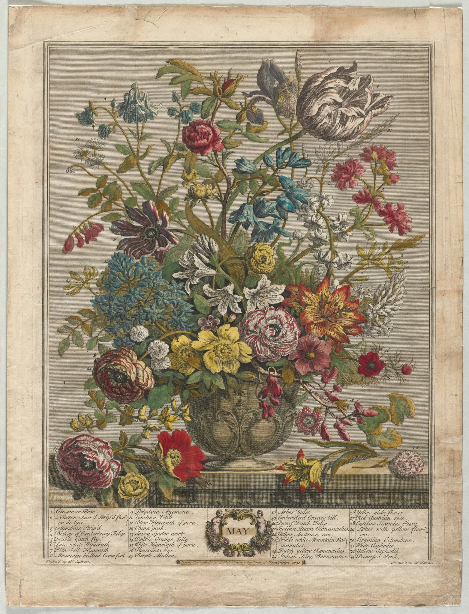Twelve Months of Flowers:  May