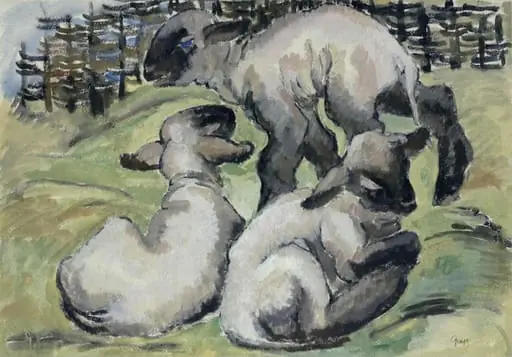 Lambs in Fold
