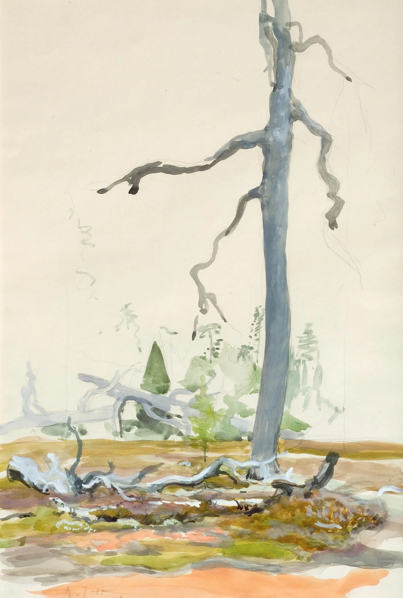 Kelo, by Eero Järnefelt