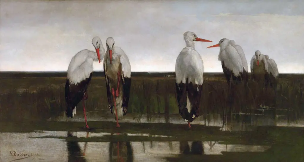 The Storks