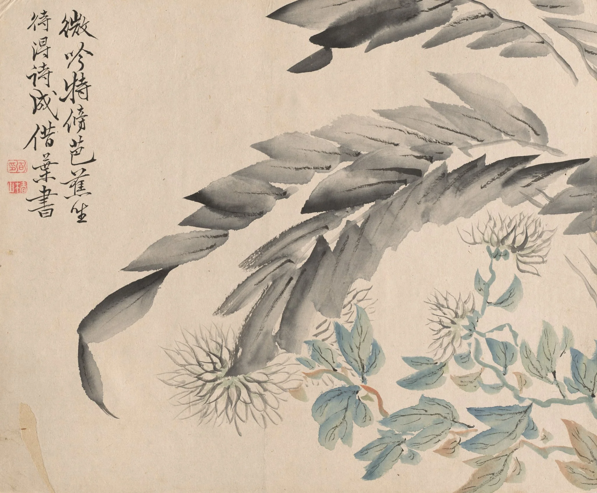 Banana Plant and Chrysanthemum, by Tsubaki Chinzan, 1850
