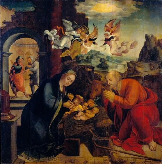Q96195513