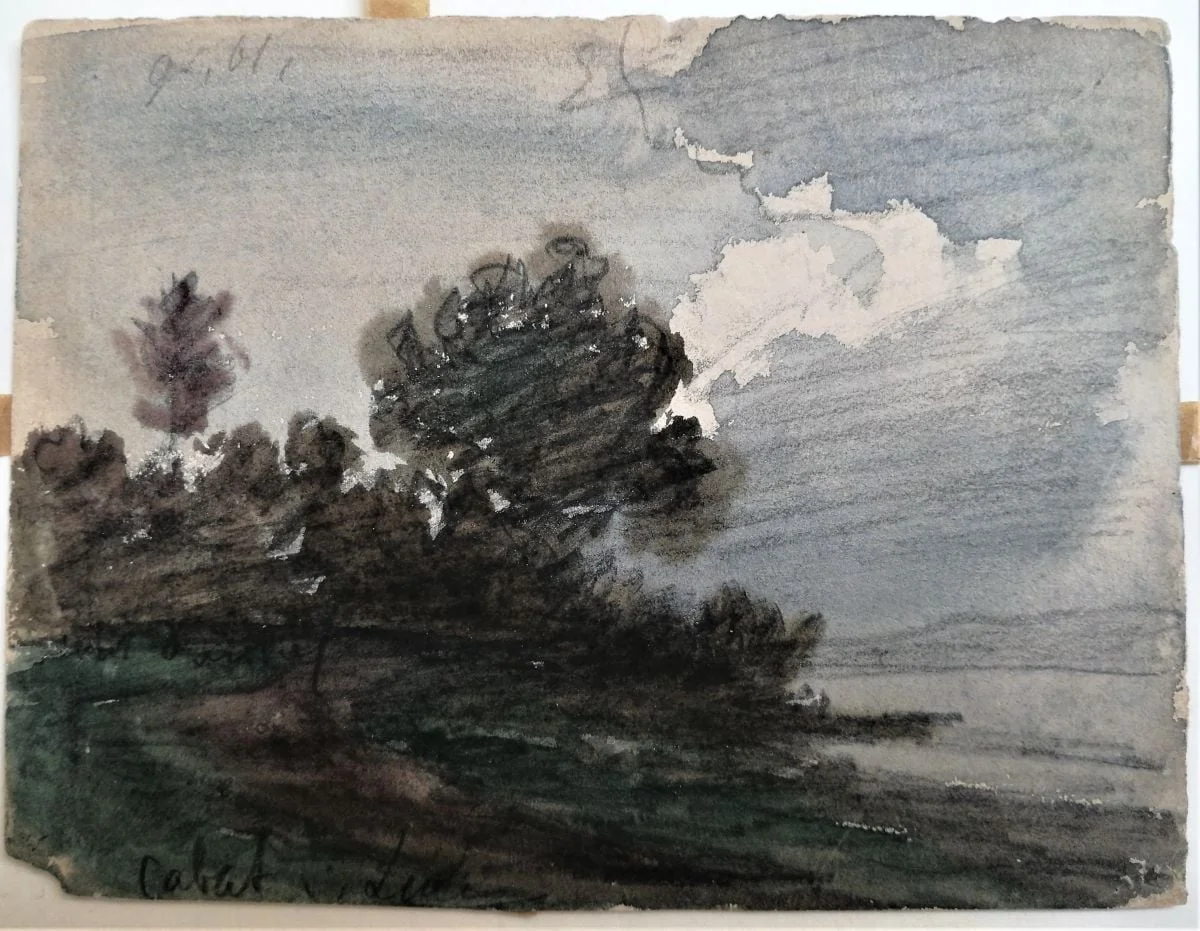 Peisaj cu pom, by Carol Szathmari, unspecified, 1874