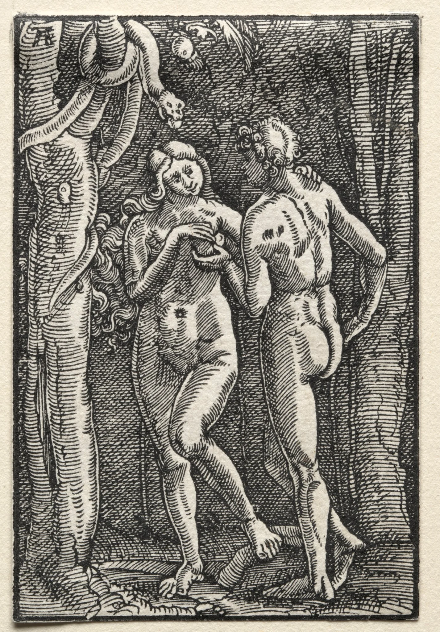 The Fall and Redemption of Man:  Adam and Eve Eating the Forbidden Fruit, by Albrecht Altdorfer, 1515