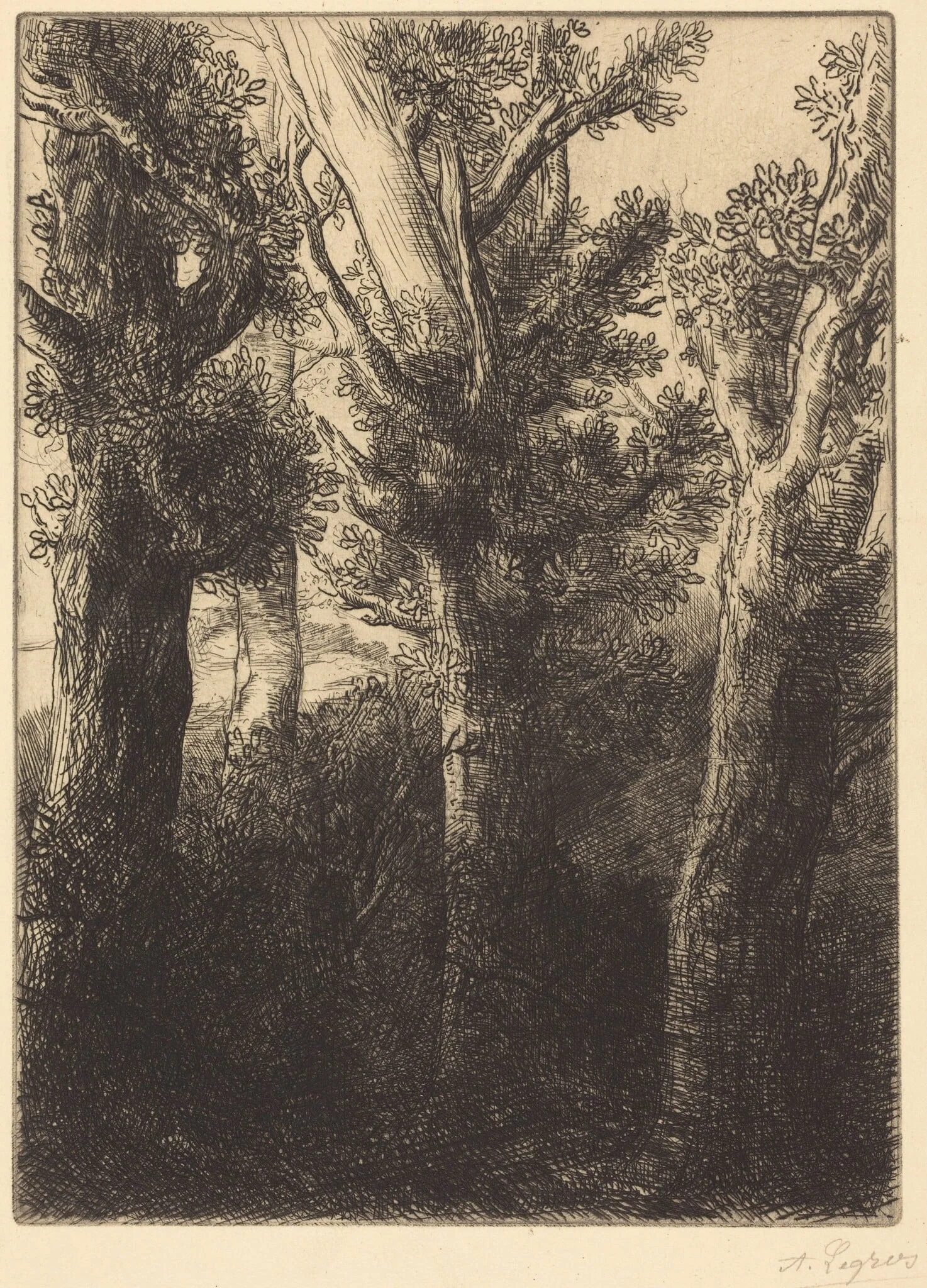German Forest, Downley