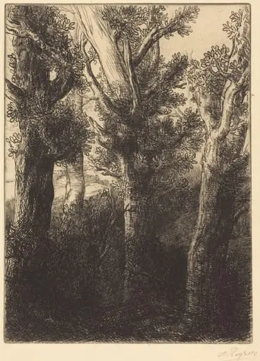 German Forest, Downley