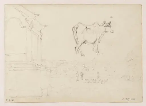 A cow, and an open space within the city of Macau