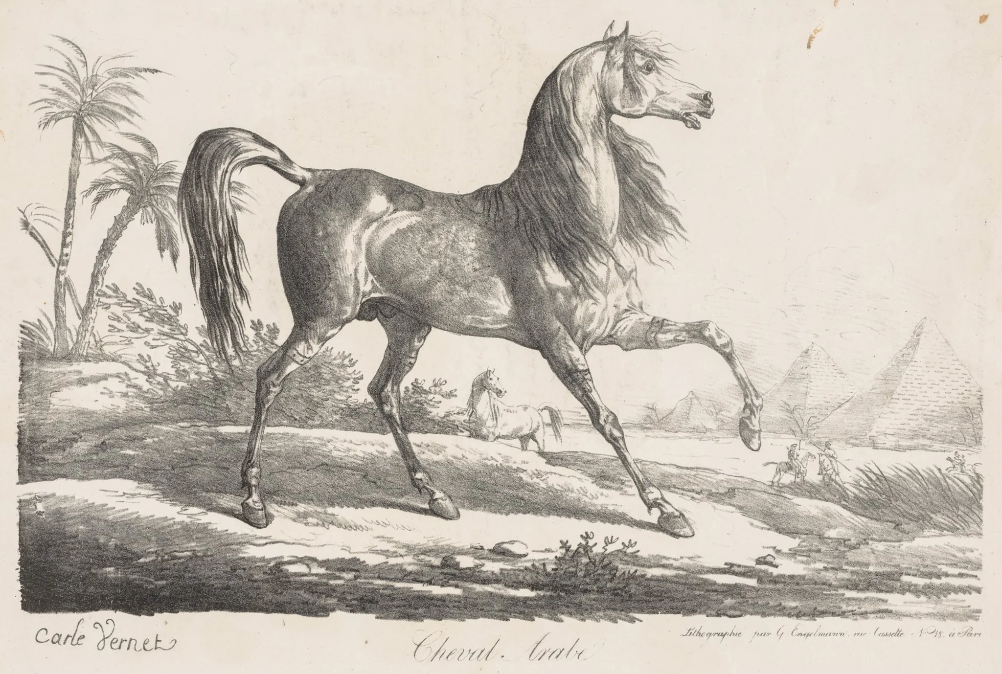 Suite de Chevaux:  Cheval Arabe, by Carle Vernet, 1808