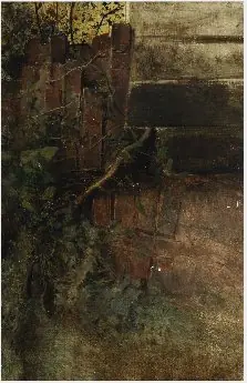 A Wall with Creeper