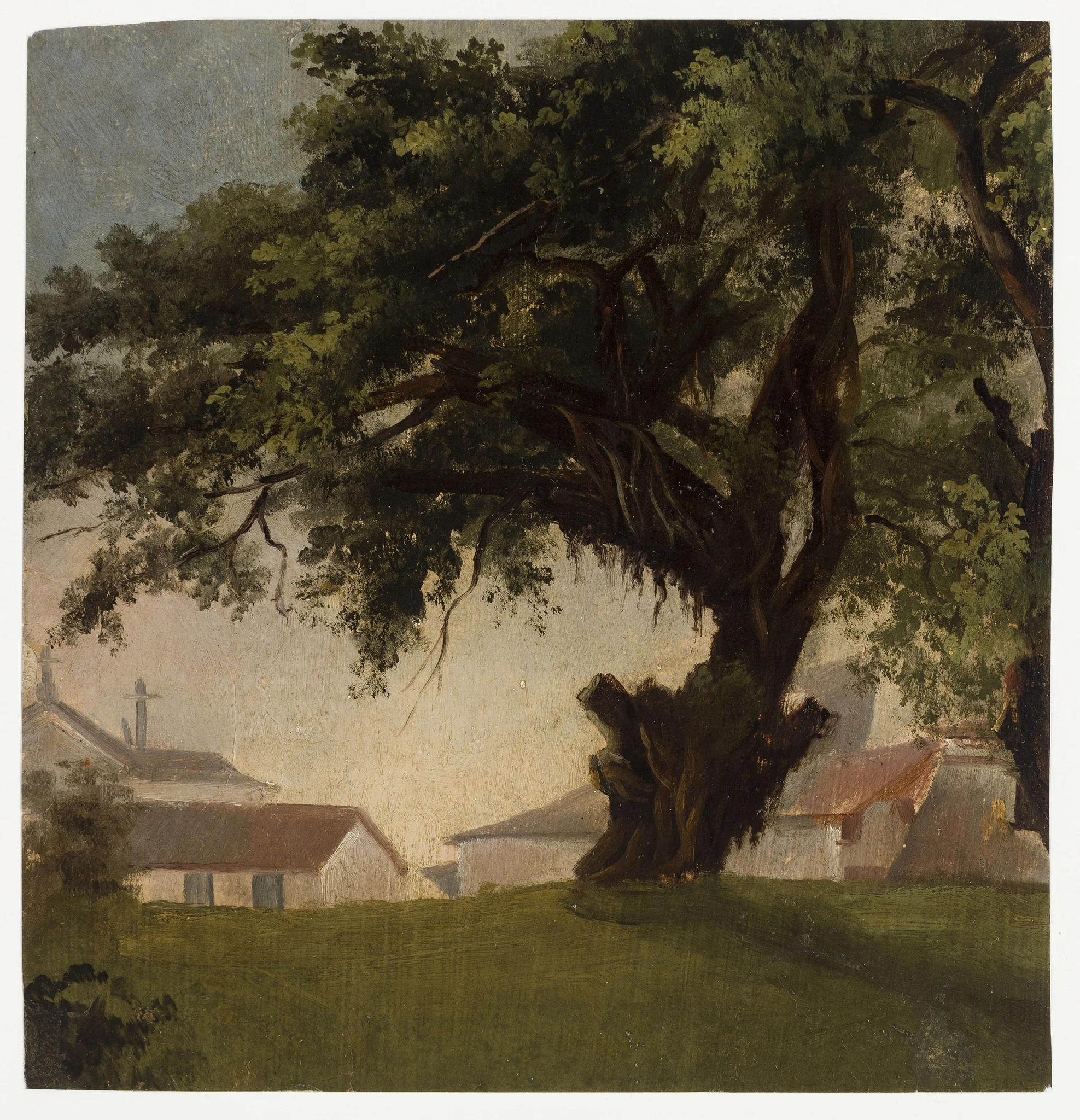 Arbres géants & Caserne