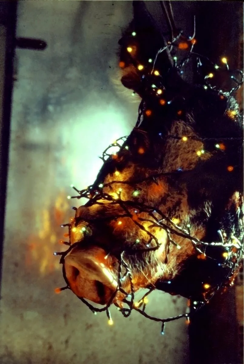 Άτιτλο, by THANASIS BARDAKAS, 2009