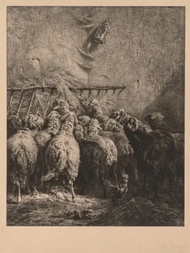 Sheep Enclosure in Béarn