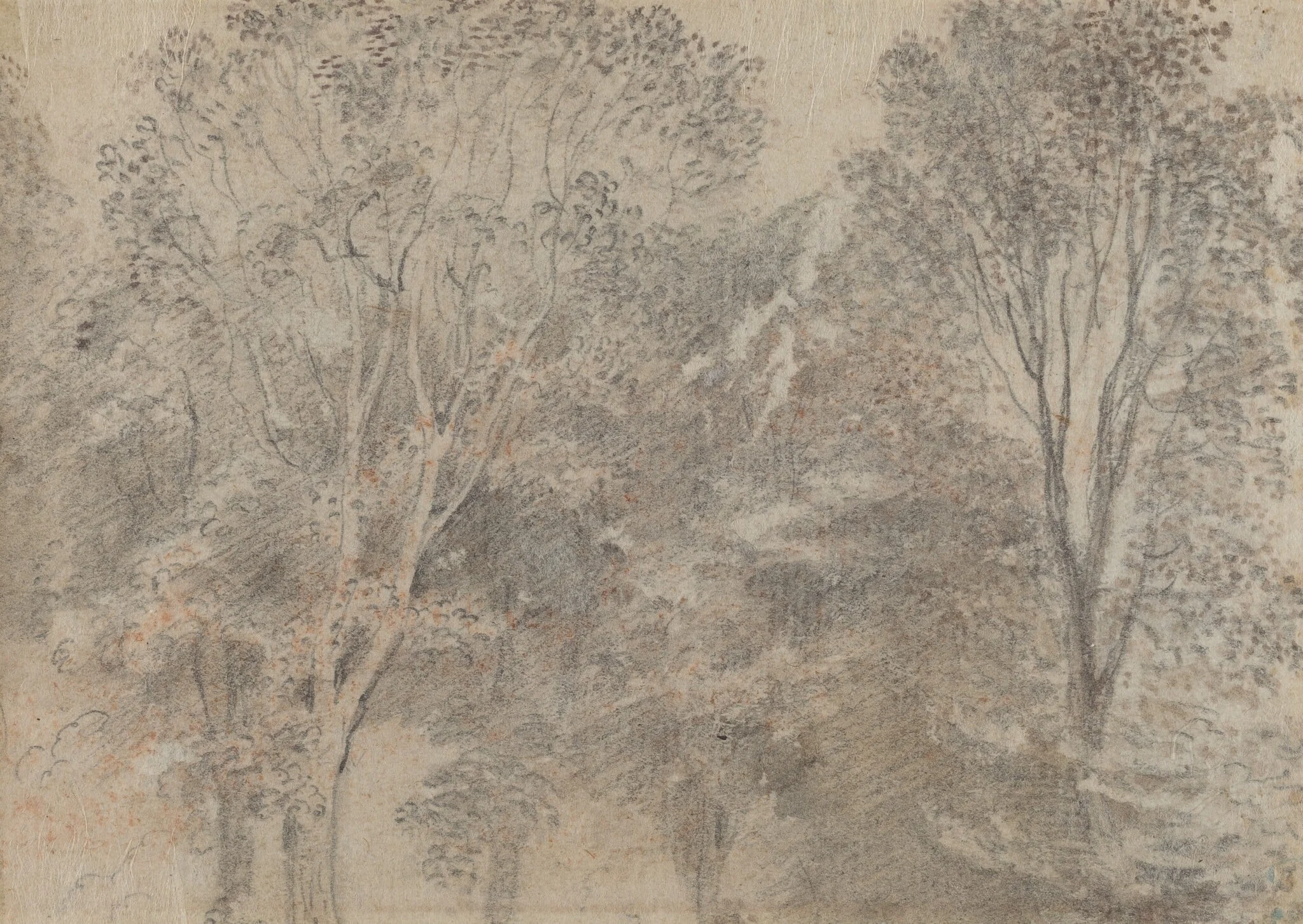 Treetops [verso], by Jean Antoine Watteau, chalk, 1702