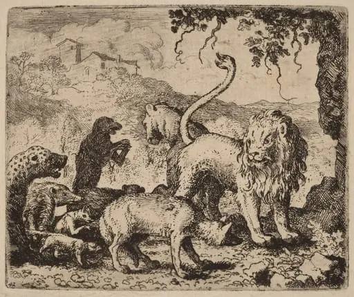 Reynard Accused