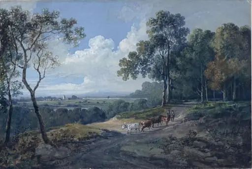 Landscape with cattle