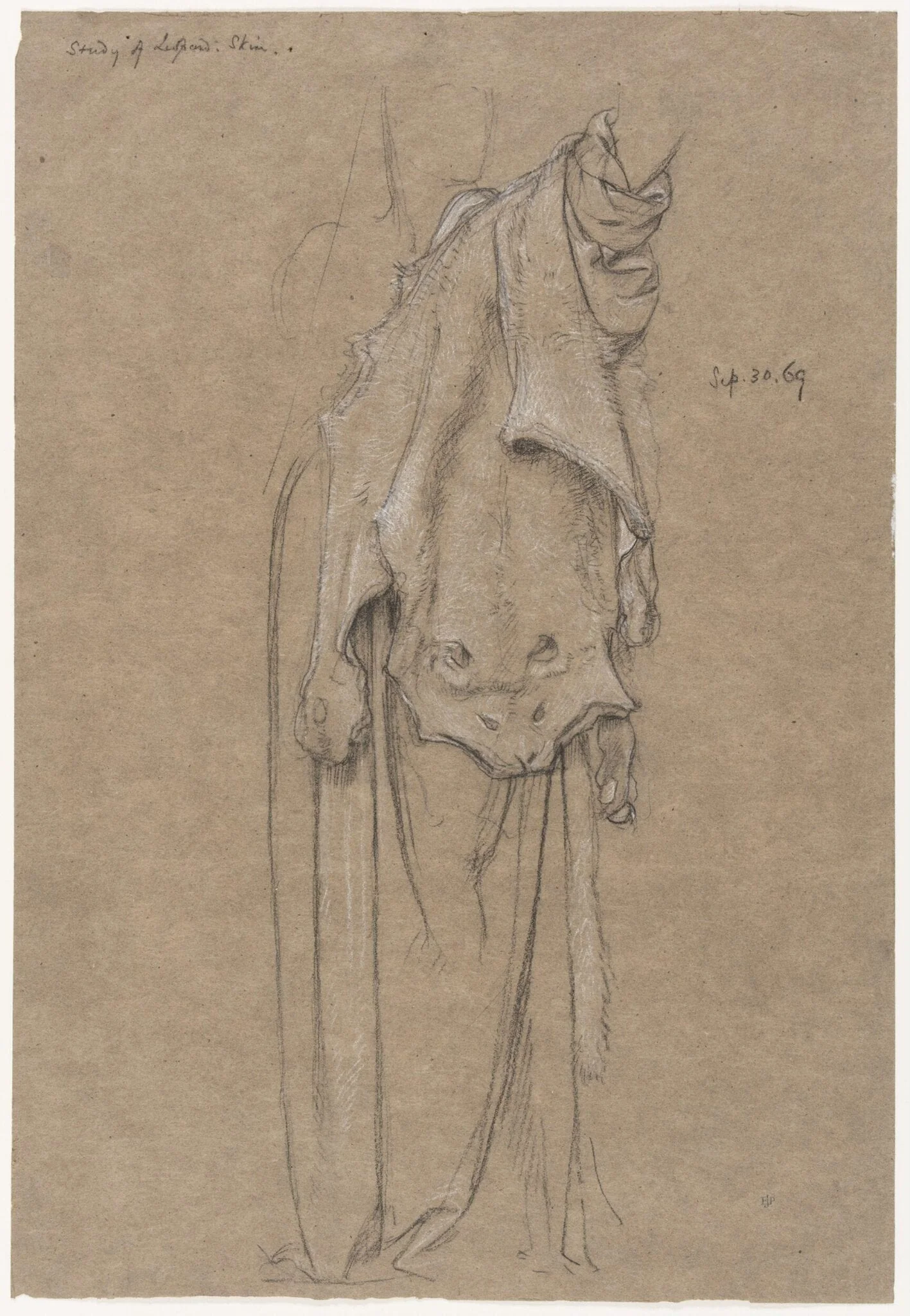 Study for a leopard skin for the figure of Fortitiude
