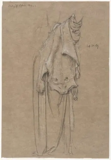 Study for a leopard skin for the figure of Fortitiude
