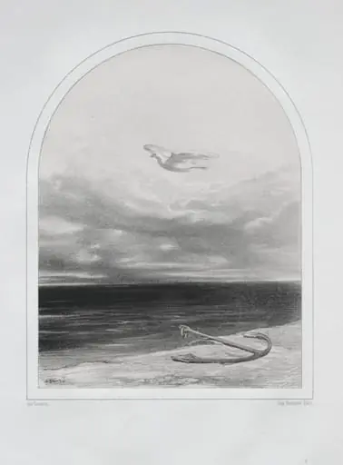 The White Dove