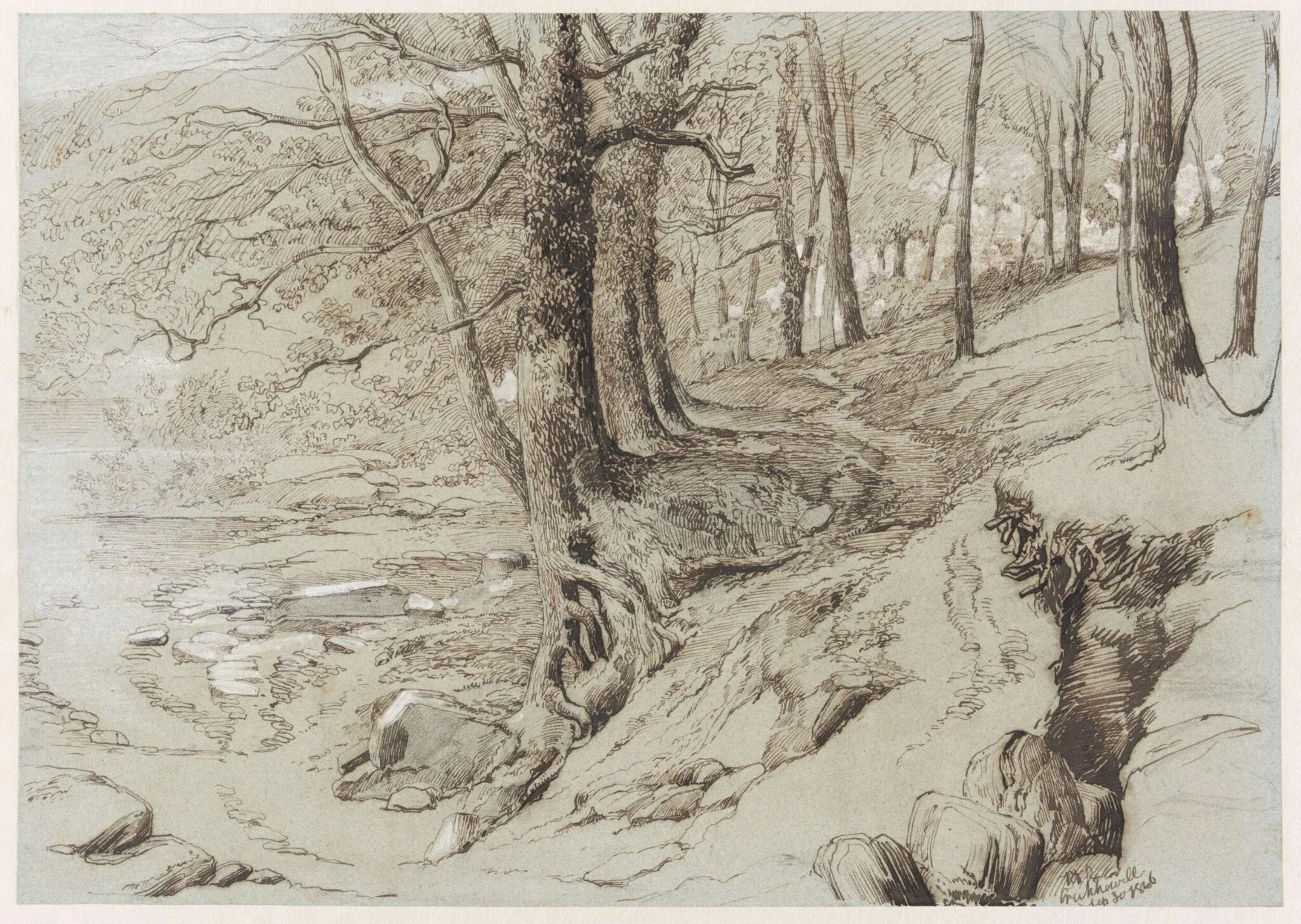 Trees near a stream at Crickhowell