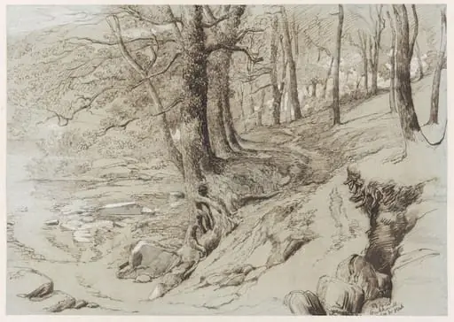 Trees near a stream at Crickhowell