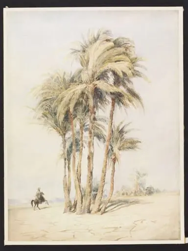 Palm trees at Karnak, Thebes