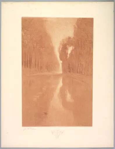Suite de Paysages: Landscape, Plate 2, Remarque, Starflowers