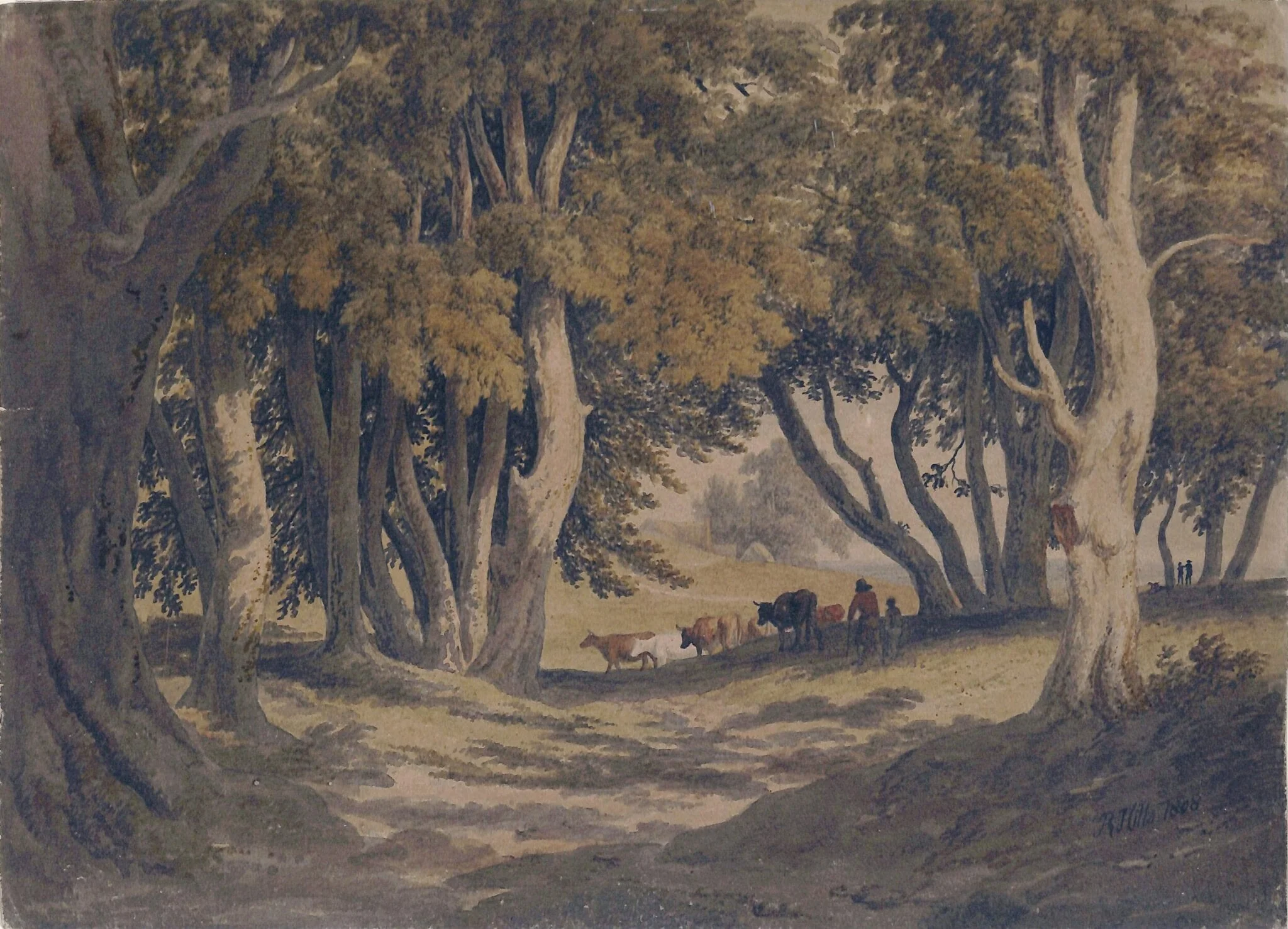Woodland Glade with Cattle