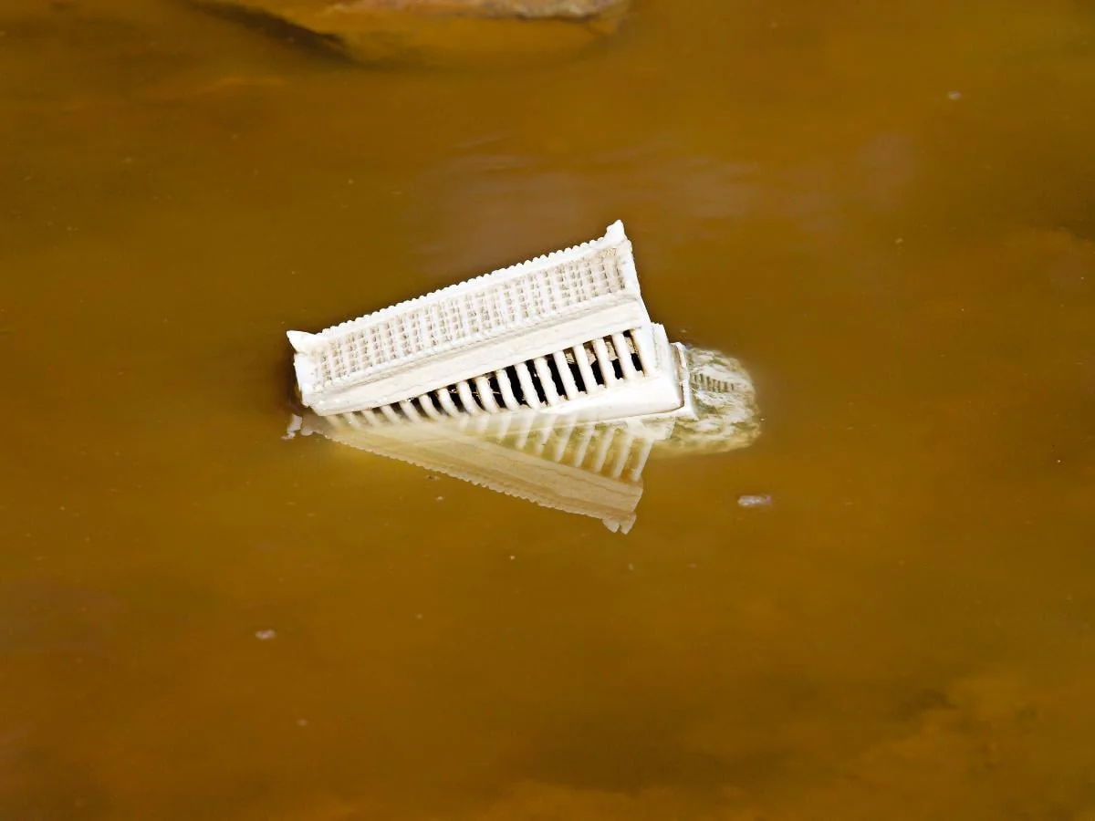 Άτιτλο, by Eleni Prifti, 2012