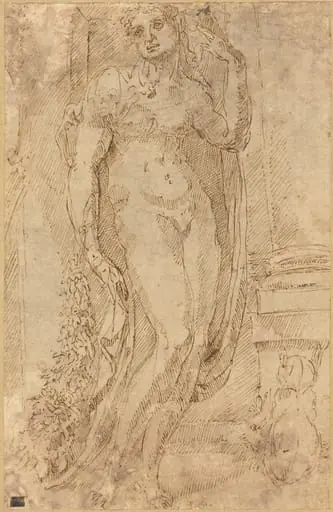 Allegorical Figure with a Cat and a Pig