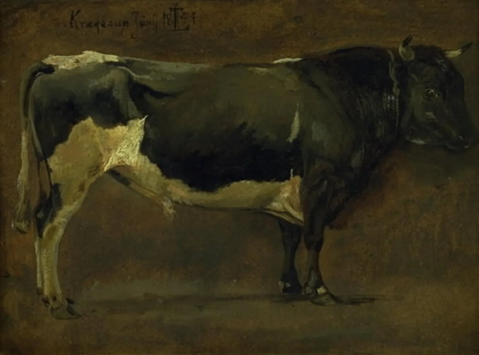 Sortbroget tyr, by Unknown, 1844