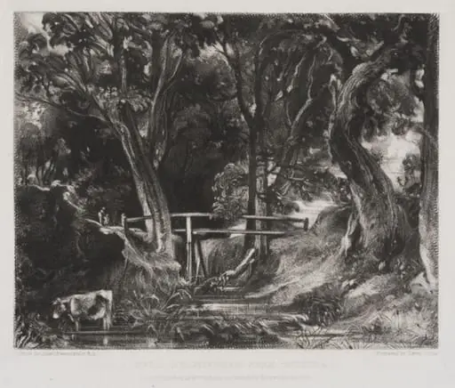 A DELL, HELMINGHAM PARK, SUFFOLK