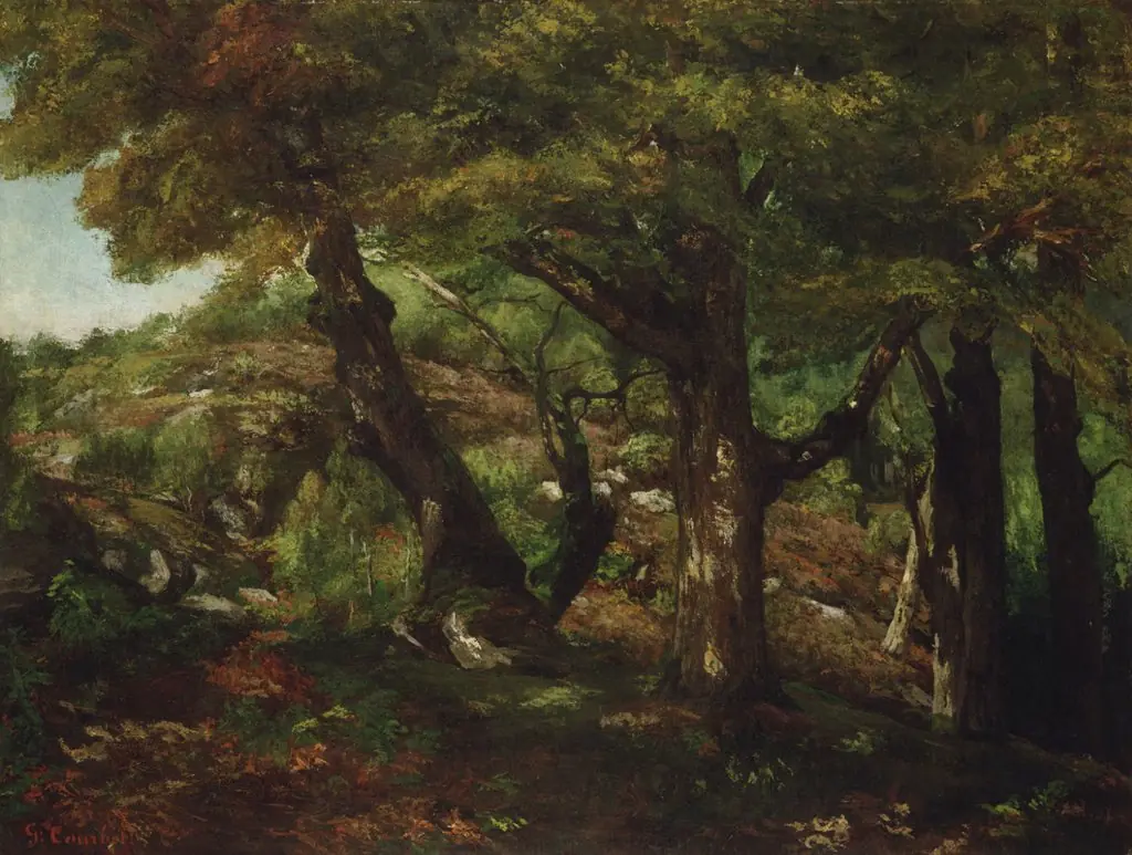 The Fringe of the Forest