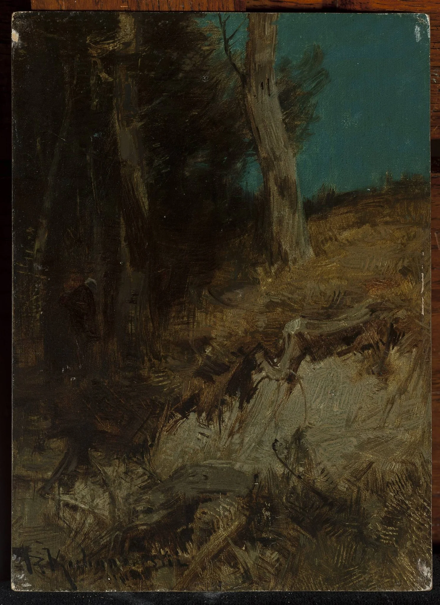 Nocturnal landscape