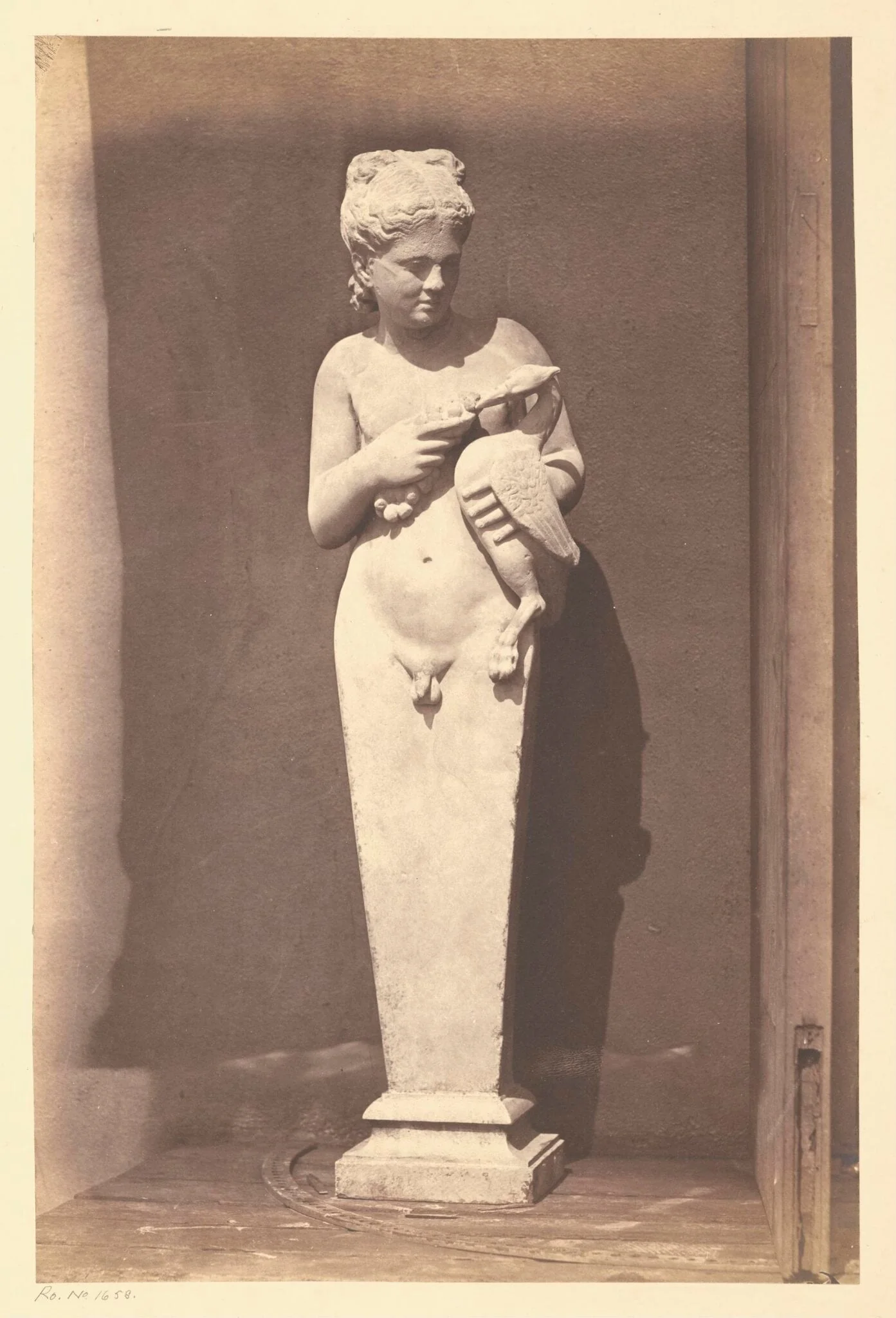 Hermaphrodite feeding a bird