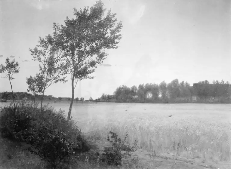 Juniaften. Landskab ved Rørvig