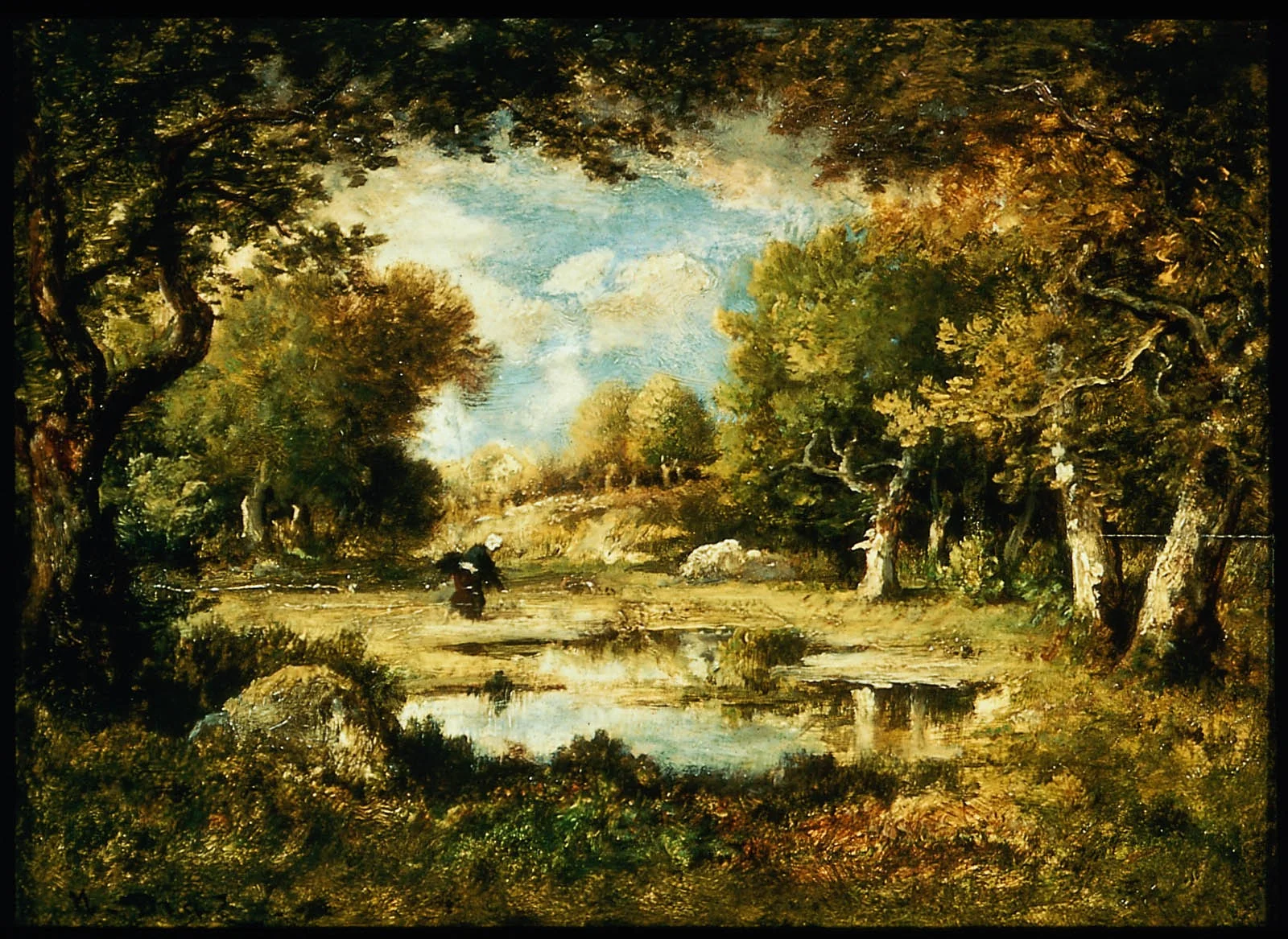 Clearing in the Forest
