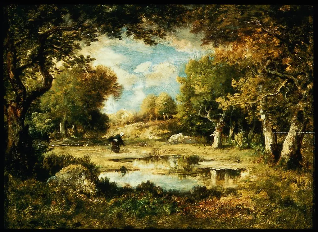 Clearing in the Forest