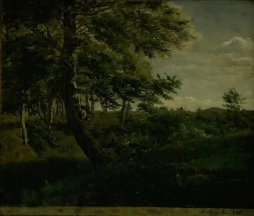 Ørsbjerg Forest at Aarup, Funen